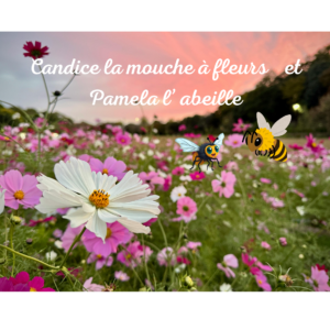 Livre : Candice la mouche à fleurs et Pamela l'abeille + Bonus la vidéo du livre