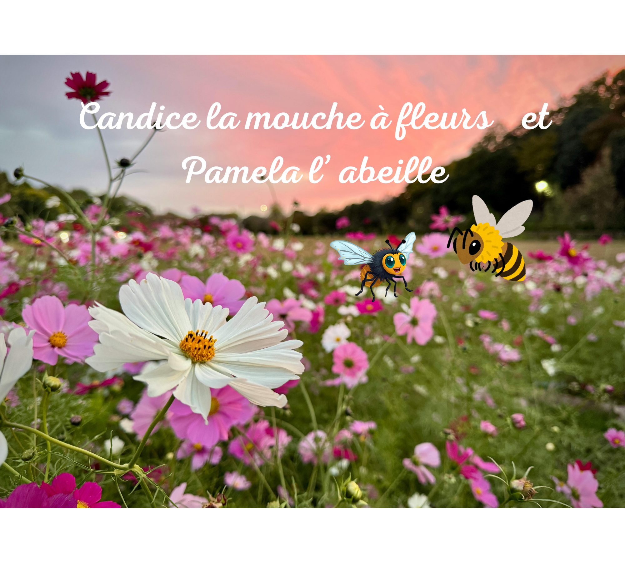 Pack la mouche à fleurs et l'abeille : le livre + le Kit Sciences à la maternelle + 4 vidéos – Image 2