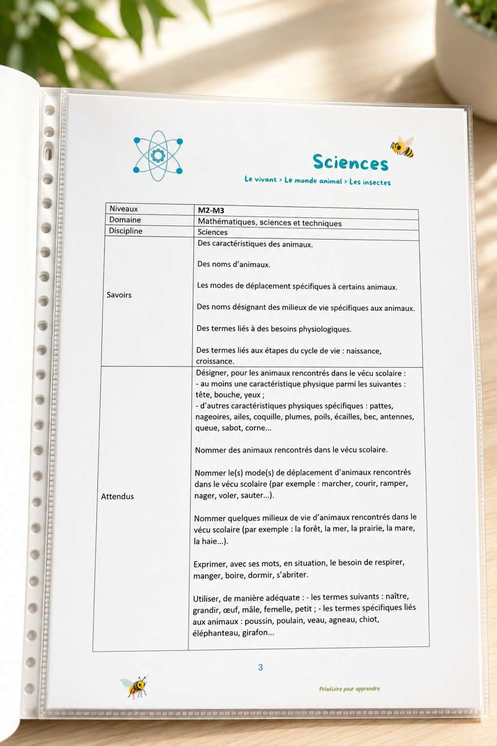 Pack la mouche à fleurs et l'abeille : le livre + le Kit Sciences à la maternelle + 4 vidéos – Image 4