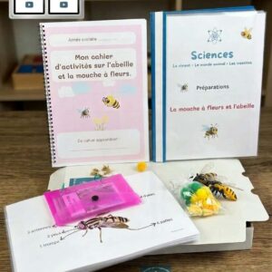 Kit Sciences à la maternelle : la mouche à fleurs et l'abeille