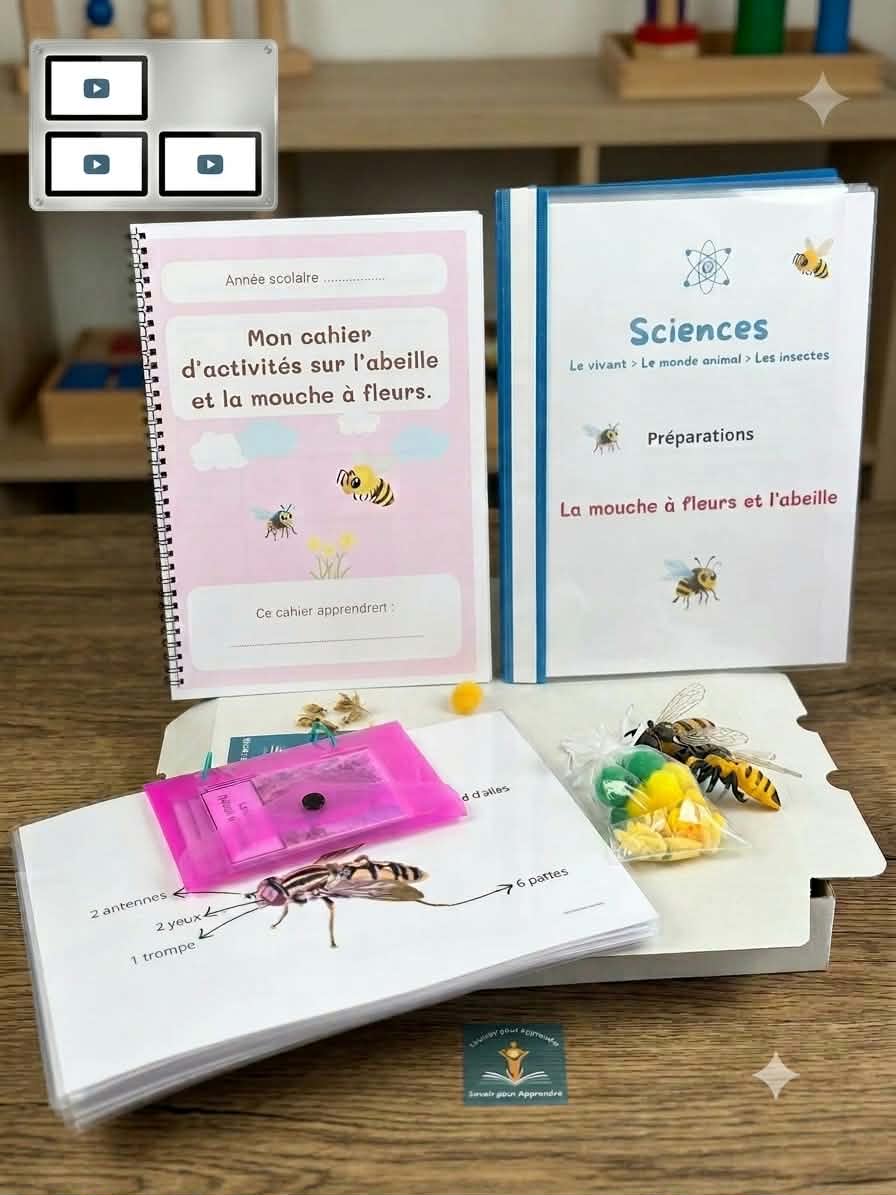 Kit Sciences à la maternelle : la mouche à fleurs et l'abeille