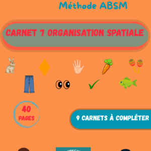 Carnet 7 Organisation spatiale