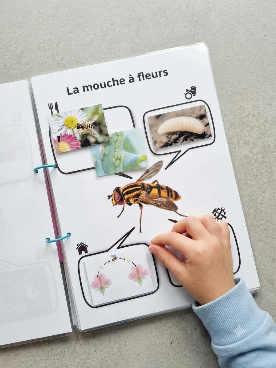 Pack la mouche à fleurs et l'abeille : le livre + le Kit Sciences à la maternelle + 4 vidéos – Image 6